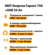 ИБП для котла Энергия Гарант 750 + Аккумулятор 55 Ач 12 В (450Вт - 67мин) - ИБП и АКБ - ИБП для котлов - . Магазин оборудования для автономного и резервного электропитания Ekosolar.ru в Тобольске