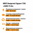 ИБП для котла Энергия Гарант 750 + Аккумулятор 75 Ач 12 В (450Вт - 91мин) - ИБП и АКБ - ИБП для котлов - . Магазин оборудования для автономного и резервного электропитания Ekosolar.ru в Тобольске