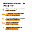 ИБП Энергия Гарант 750 + Аккумулятор S 75 Ач - 12В (450Вт - 91мин) - ИБП и АКБ - ИБП для котлов - . Магазин оборудования для автономного и резервного электропитания Ekosolar.ru в Тобольске